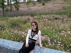 -三圣花乡旅游区