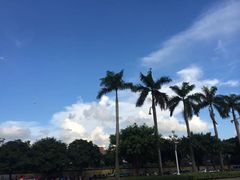 -番禺广场(市桥街道)