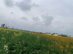 -中国天府农业博览园