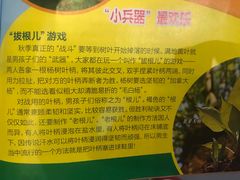 -汽车博物馆主题餐厅