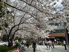 -玛格萝妮比萨屋(四平店)
