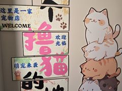 -唐小姐の私宠·宠物洗护美容·撸猫馆·购宠(周浦万达旗舰店)