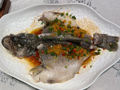 -佳兰雅序融合菜(高新店)