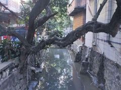 -小洲村