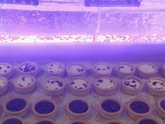 -福禧荟·海鲜自助