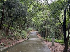 -中山市树木园