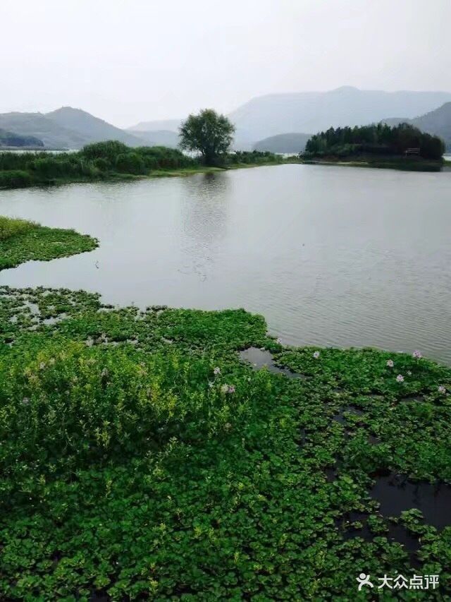 鳴鶴古鎮-圖片-慈溪周邊遊-大眾點評網