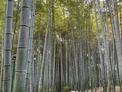 -杭州黄龙洞