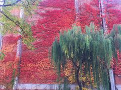 -大连理工大学(凌水校区)
