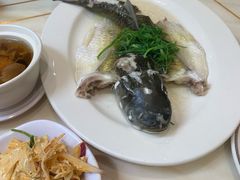 -稻香酒家·35年老字号(侨光店)