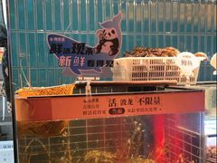-雍容荟帝王蟹活龙虾展台自助(IFS黑金店)