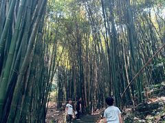 -凤栖山