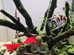 -重庆欢乐海底世界