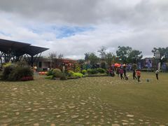 -上海长兴岛郊野公园