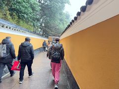 -普陀山慧济禅寺