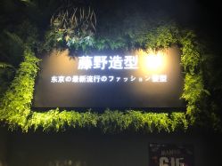 点击看大图 -藤野造型