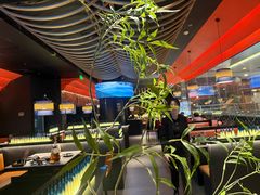 -芸山季·云南山珍菌火锅(人民广场来福士店)