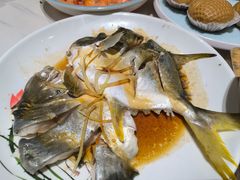 -天鹰观渔(梦园店)