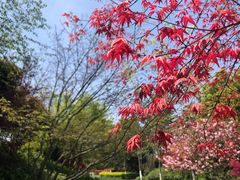 -杭州城北体育公园