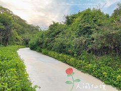 -狐尾山公园