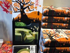-有栖山 清光院 清水寺