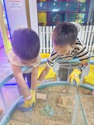 -神奇动物撸宠馆·羊驼·小浣熊·异宠(豫园店)