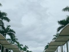 -深圳野生动物园