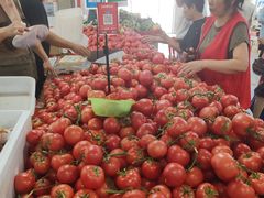 -金宝生活市场(东五环店)