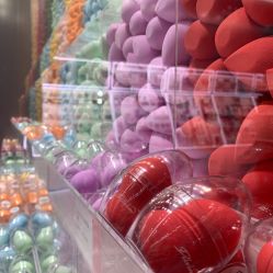 -THE COLORIST调色师