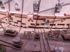 -陕西自然博物馆