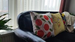 -scarlet斯卡莱美容护理机构