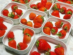 -水之梦(黄浦店)