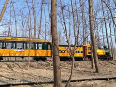 -合肥滨湖国家森林公园