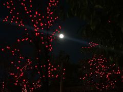 -均和墟历史街区-平和大押