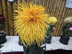 -上海大学（宝山校区）-图书馆