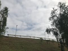 -鹤之洲湿地公园