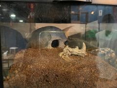 -MOJO密室逃脱(中街旗舰店)