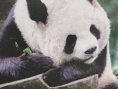 -宁波野生动物园