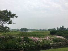 -太阳岛度假酒店