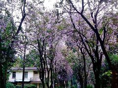 -广东外语外贸大学(白云山校区)