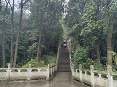 -南山植物园