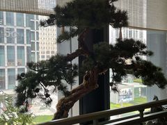 -潮上潮(南中环店)