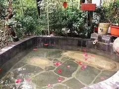 -西安国际创新人才交流中心•药浴温泉