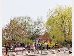 -陶然亭公园