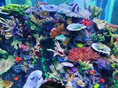 -成都浩海立方海洋公园