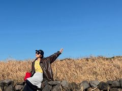 -涉地可支