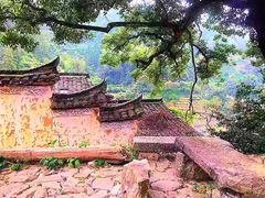 -杨家堂村