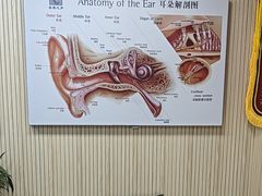 -自然之声助听器·呼吸机(和平店)