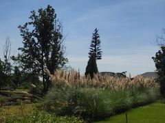 -中国天府农业博览园