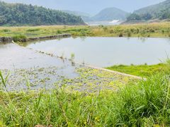 -孔雀湖生态旅游区